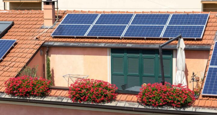 Hacer llegar la energía solar a todos los hogares y empresas, la misión y visión de Yippy Solar